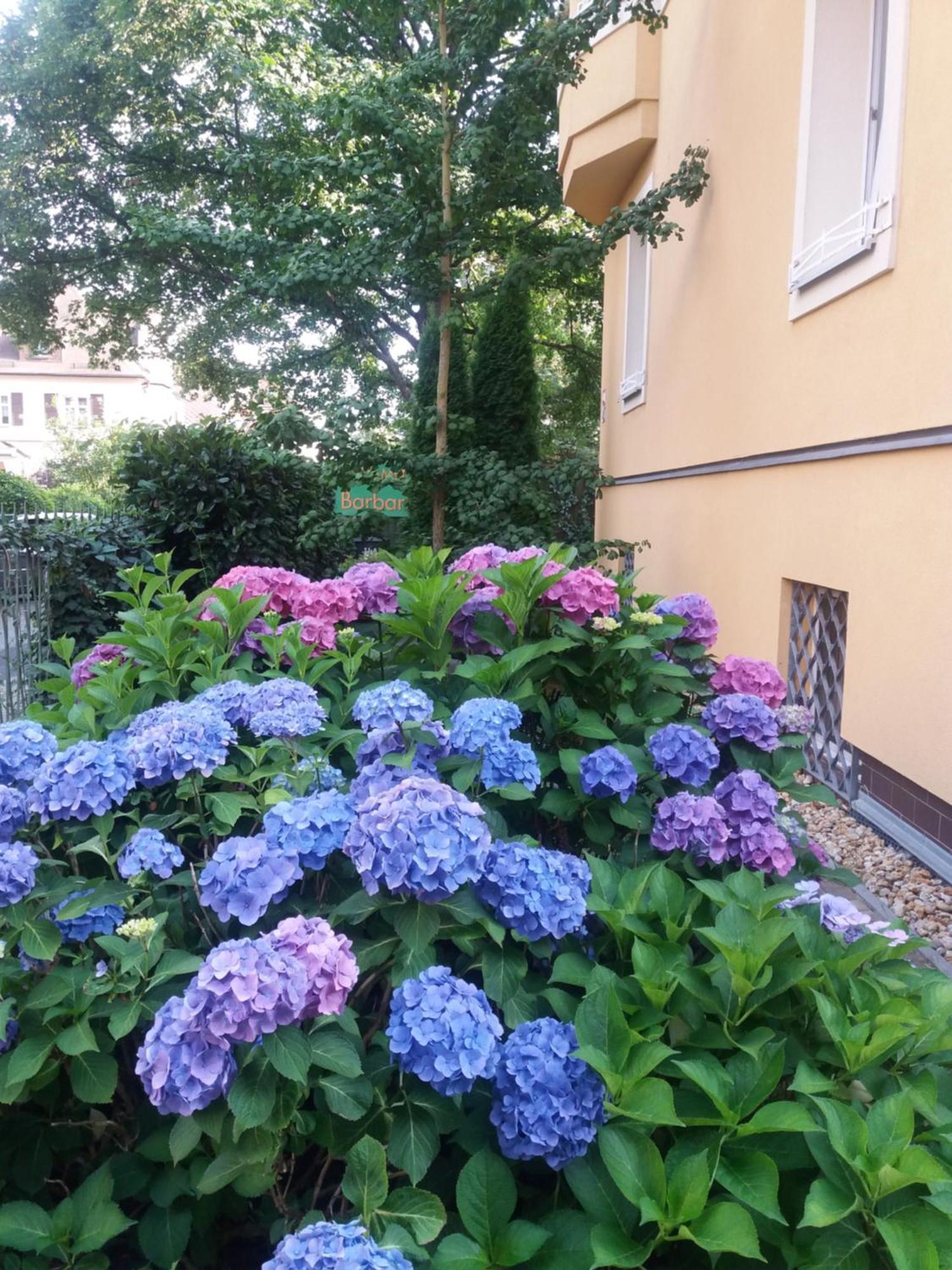 Apartment Barbara Marianske Lazne Exterior photo